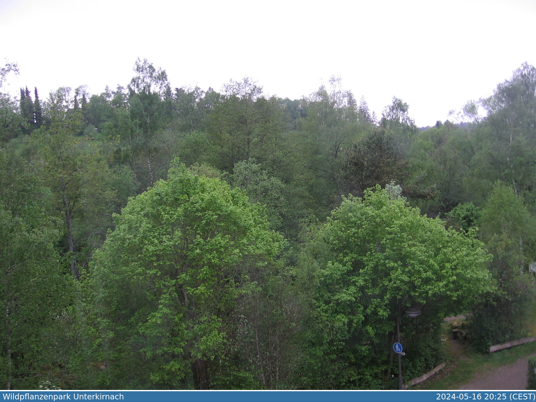 Webcam 78089 Unterkirnach, Blick auf den Wildpflanzenpark